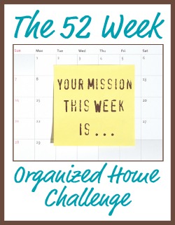 Organized Home Challenge!