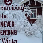 5 Tips for Surviving the Never-Ending Winter - www.MiddleWayMom.com