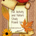 How are you teaching your kids about the changing seasons? I've gathered dozens of resources in this Fall Activites/Fall Nature Study round up! Get outside and learn with nature study, art, science, and much more! - www.MiddleWayMom.com