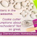 Smashing Stereotypes Homeschool Survey - Let your voice be heard!